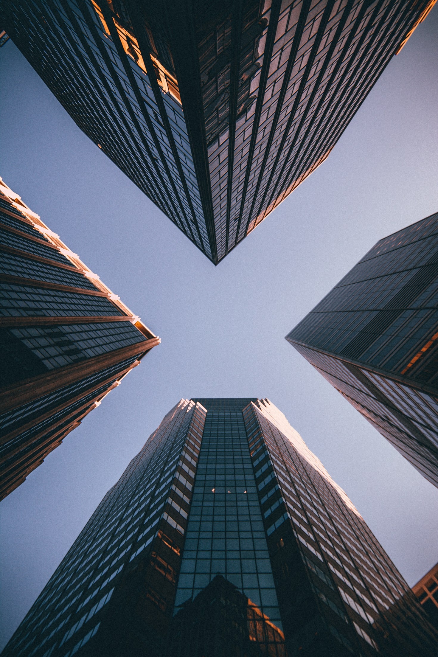 How Exzie Global Meets Diverse Client Needs